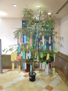 P1080241.JPG